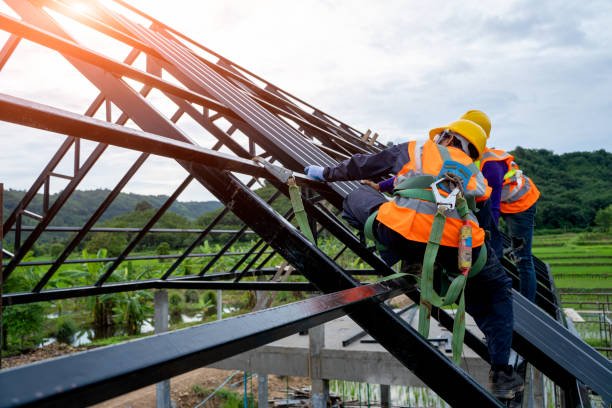 Best Roof Waterproofing Services  in Ford Heights, IL