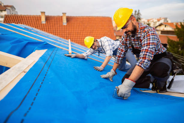 Best Commercial Roofing Services  in Ford Heights, IL