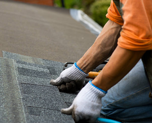Best Storm Damage Roof Repair  in Ford Heights, IL