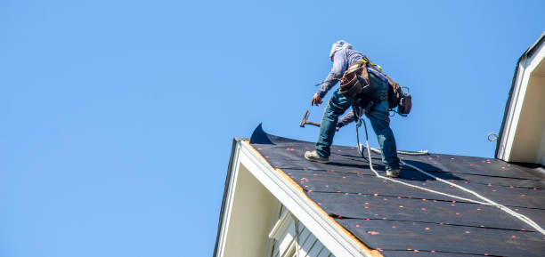 Best Roof Gutter Cleaning  in Ford Heights, IL